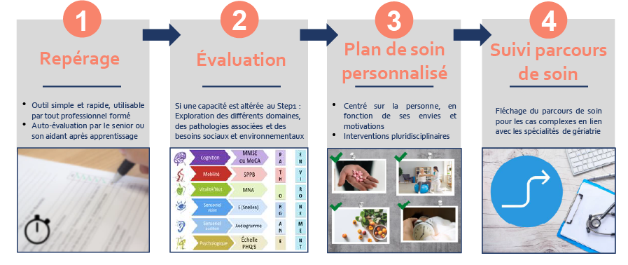 schéma des étapes composants la formation